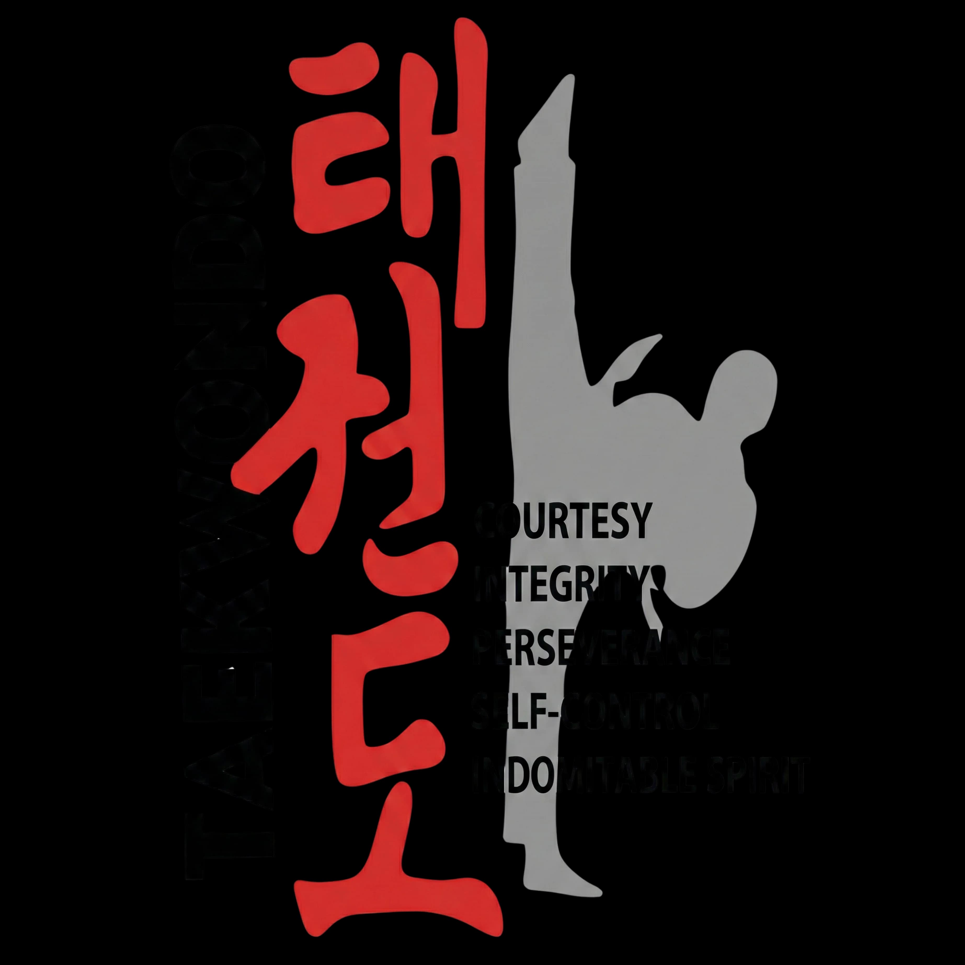 Taekwondo: Los 5 Principios del Guerrero